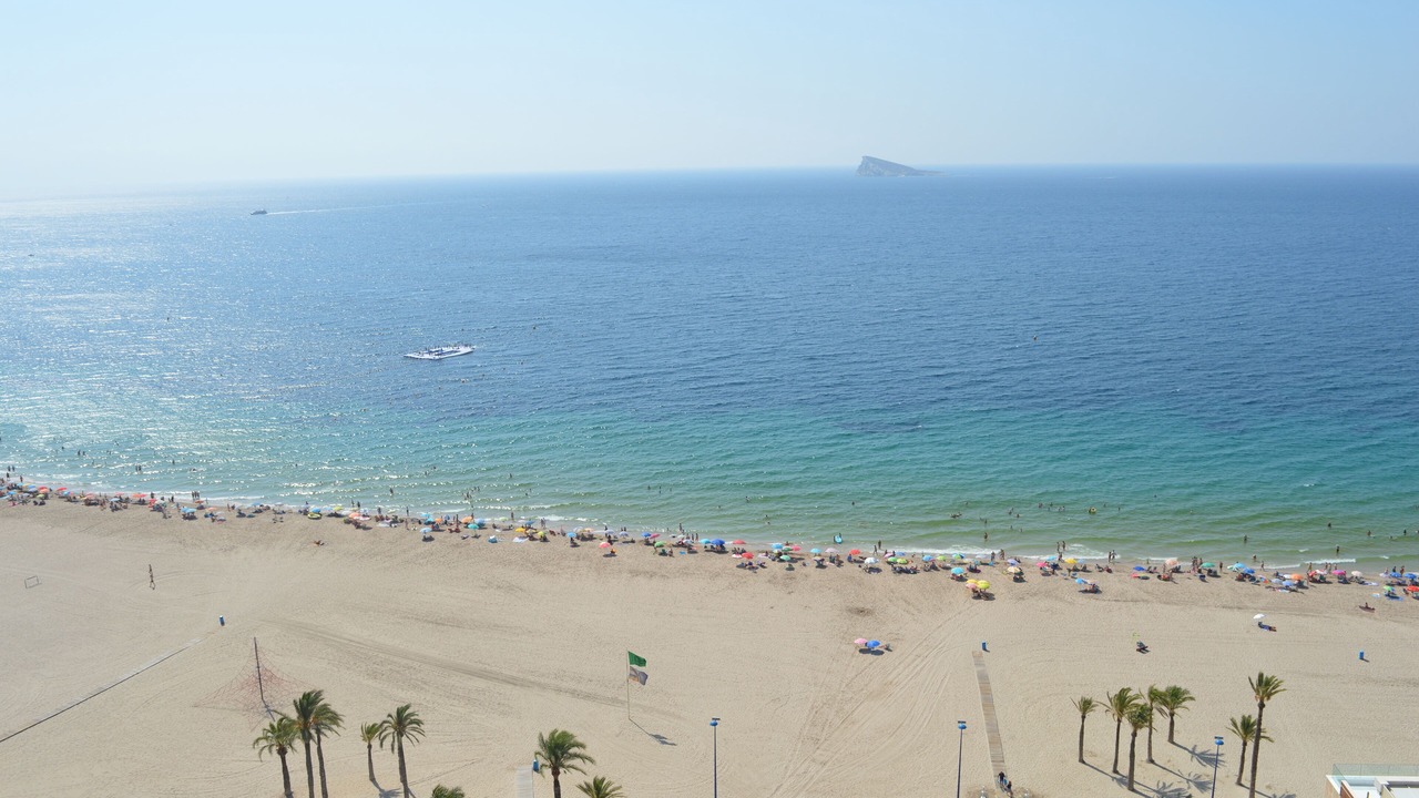 Photo of Others in Cala