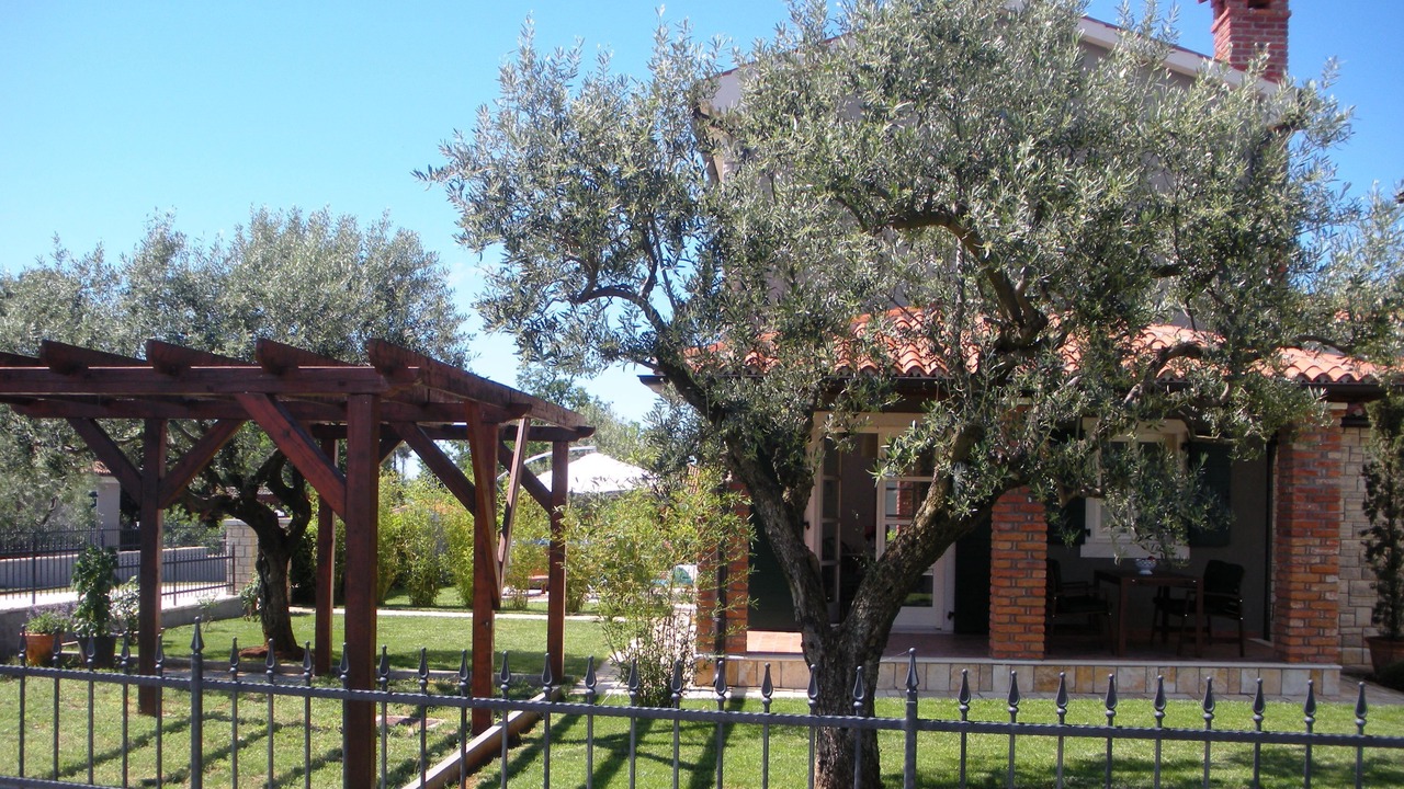 Photo of Outdoor in Buici