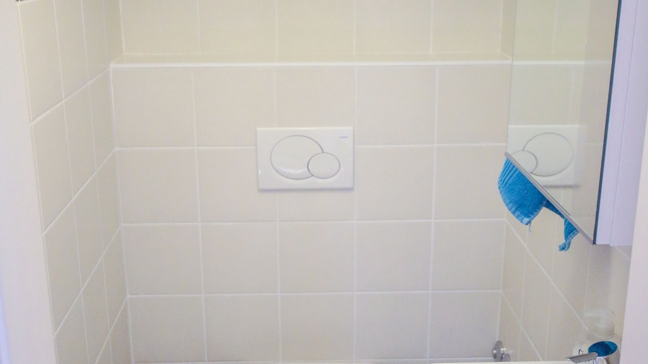 Photo of Bathroom in Buici