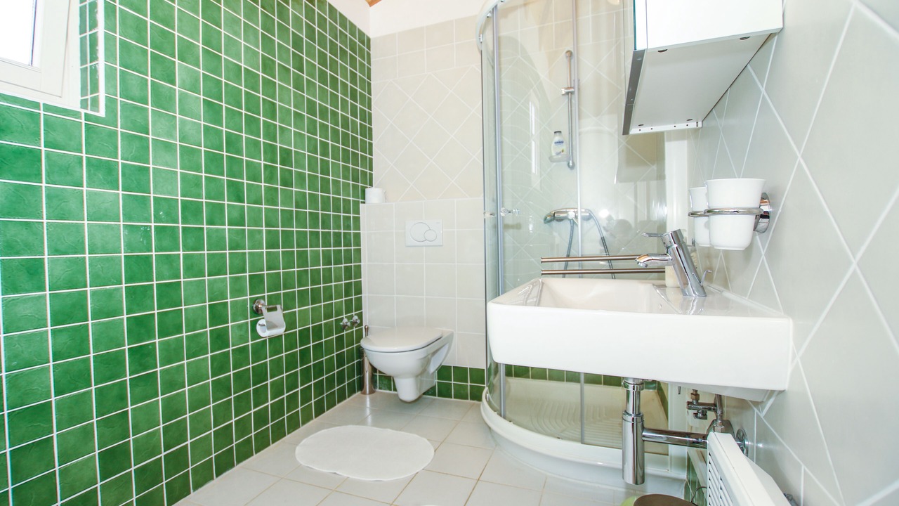 Photo of Bathroom in Buici