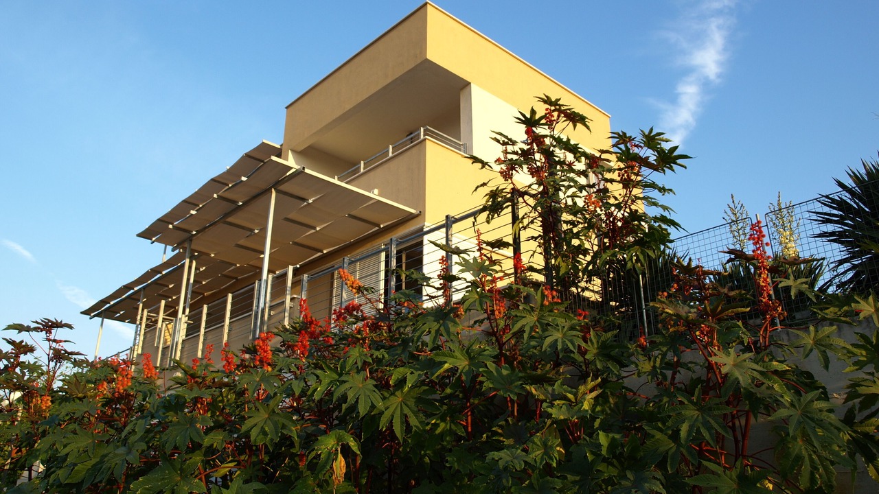Photo of Outdoor in Plano
