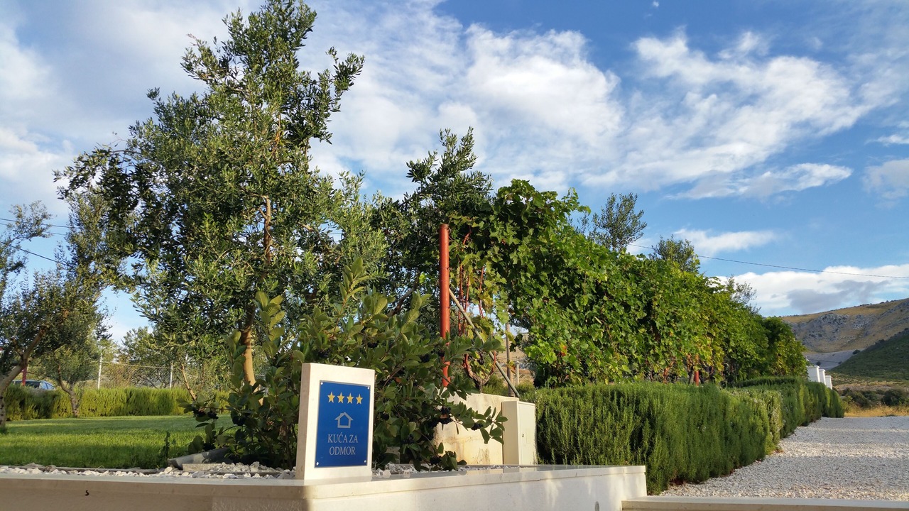 Photo of Outdoor in Plano