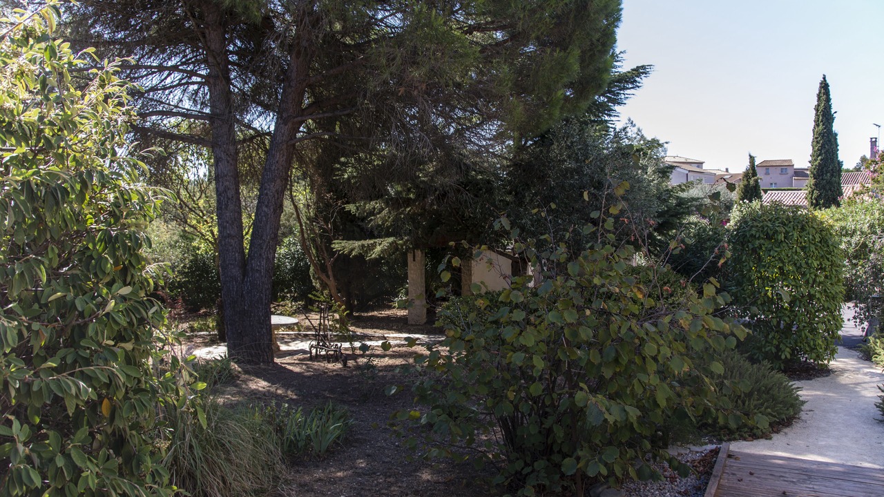 Photo of Outdoor in Serignan