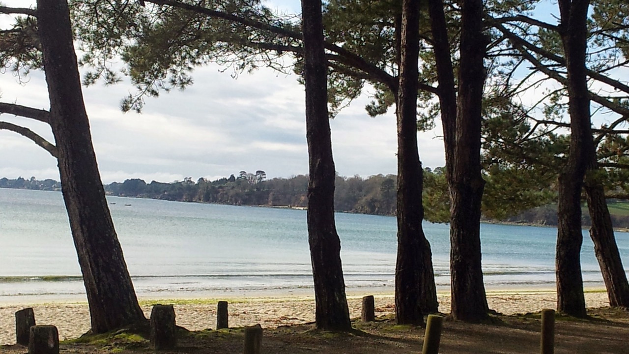 Photo of Others in Fouesnant