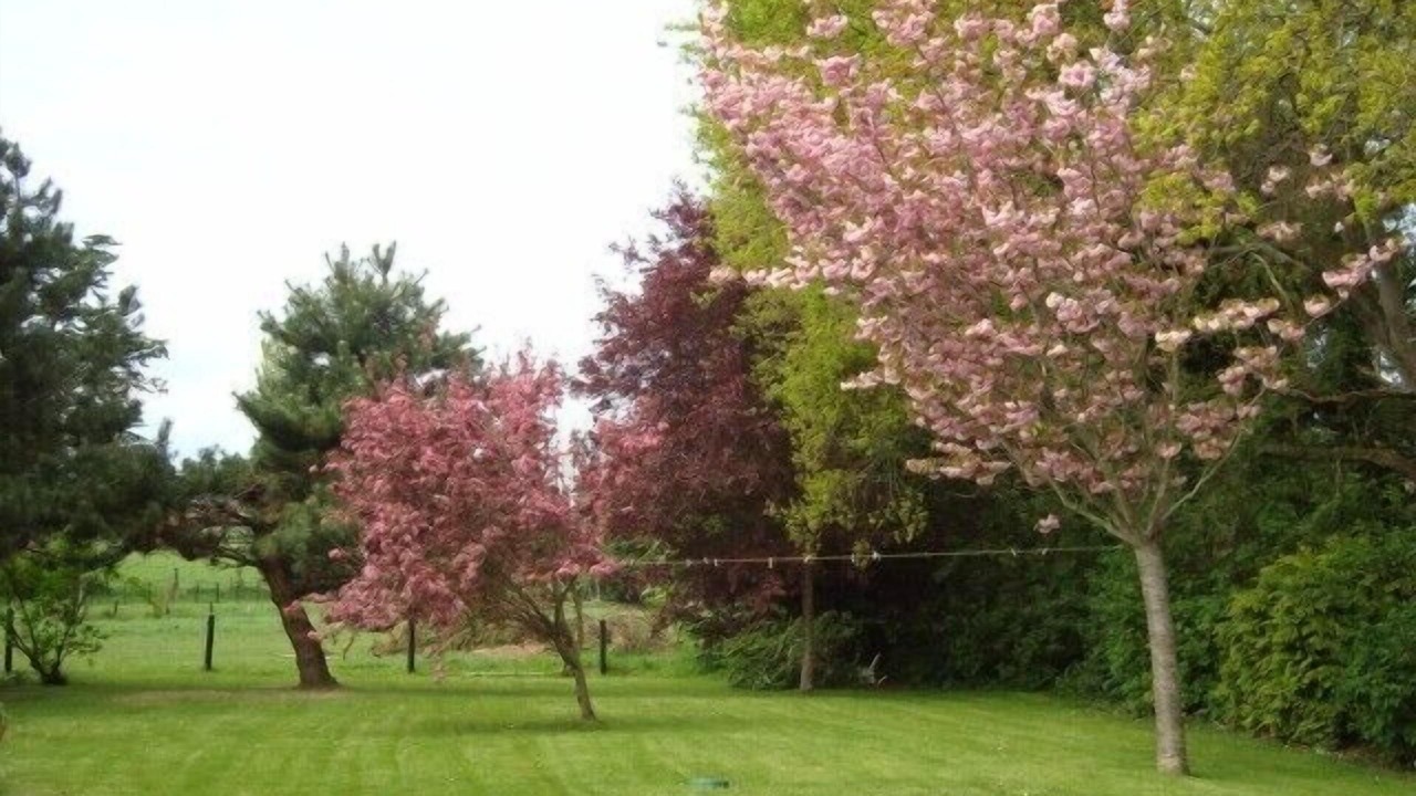 Photo of Outdoor in Hillion