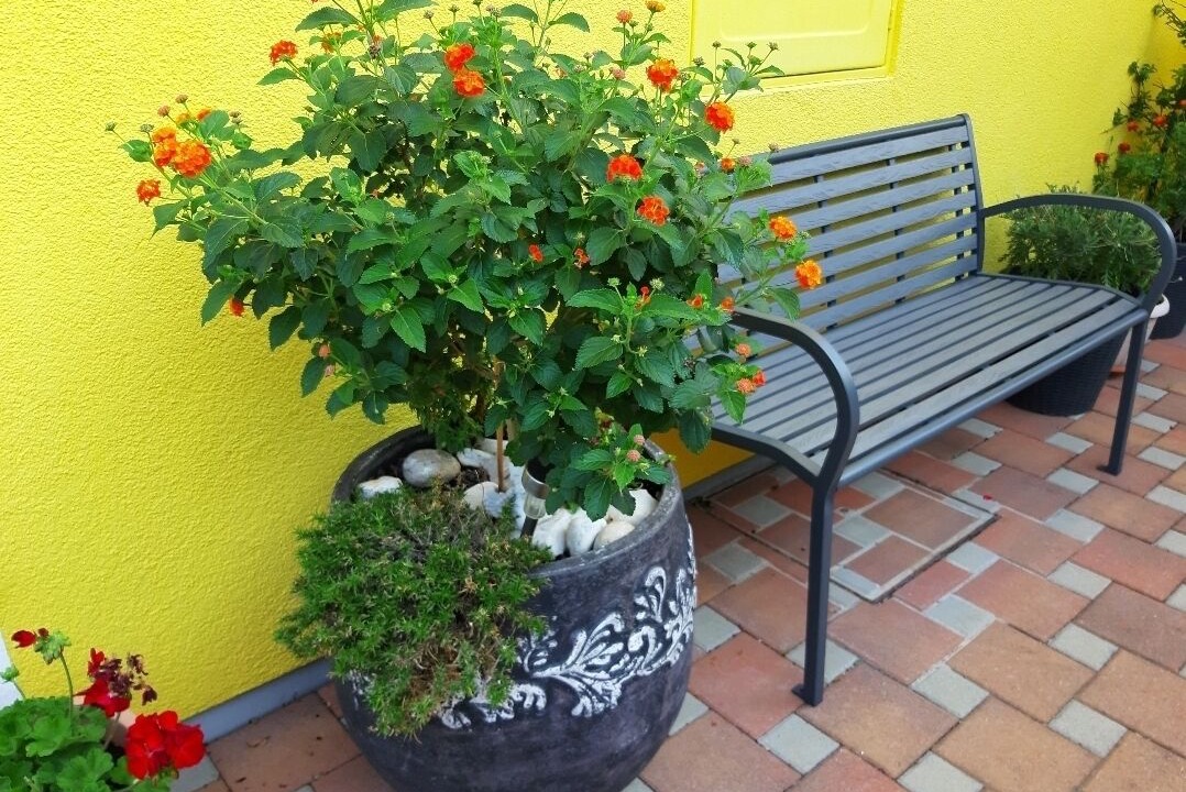 Photo of Outdoor in Kastel