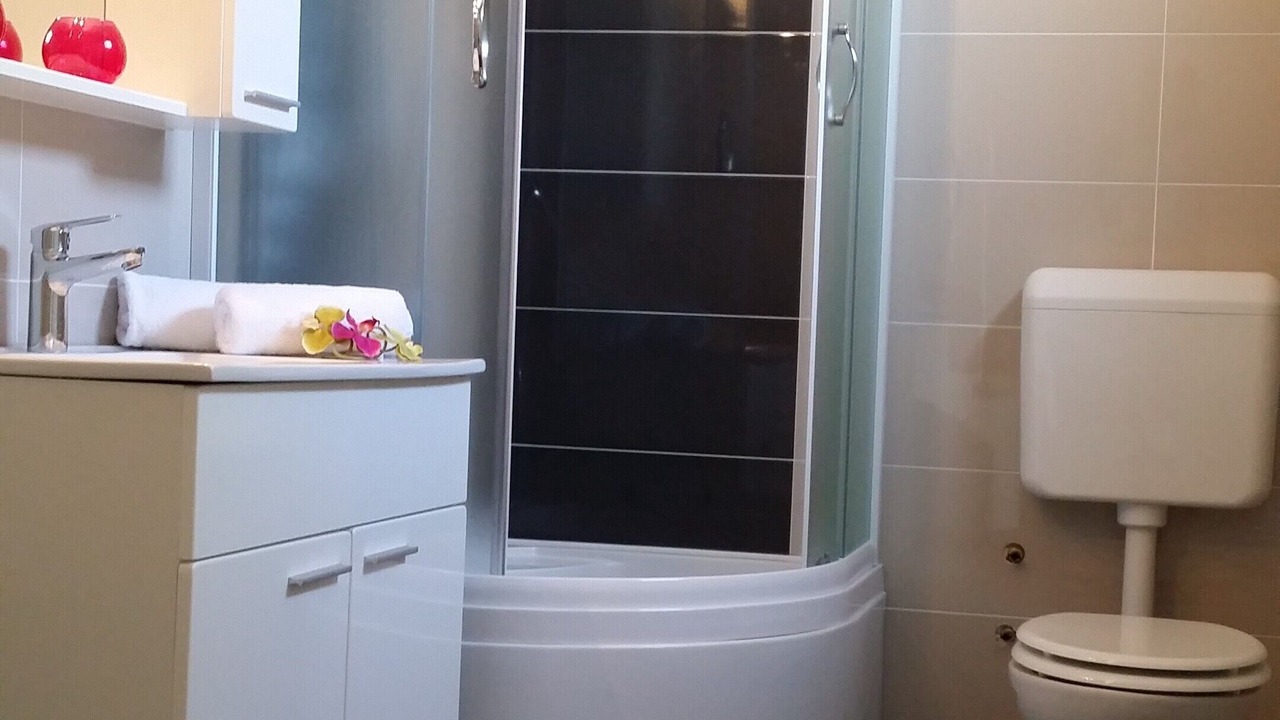 Photo of Bathroom in Pula