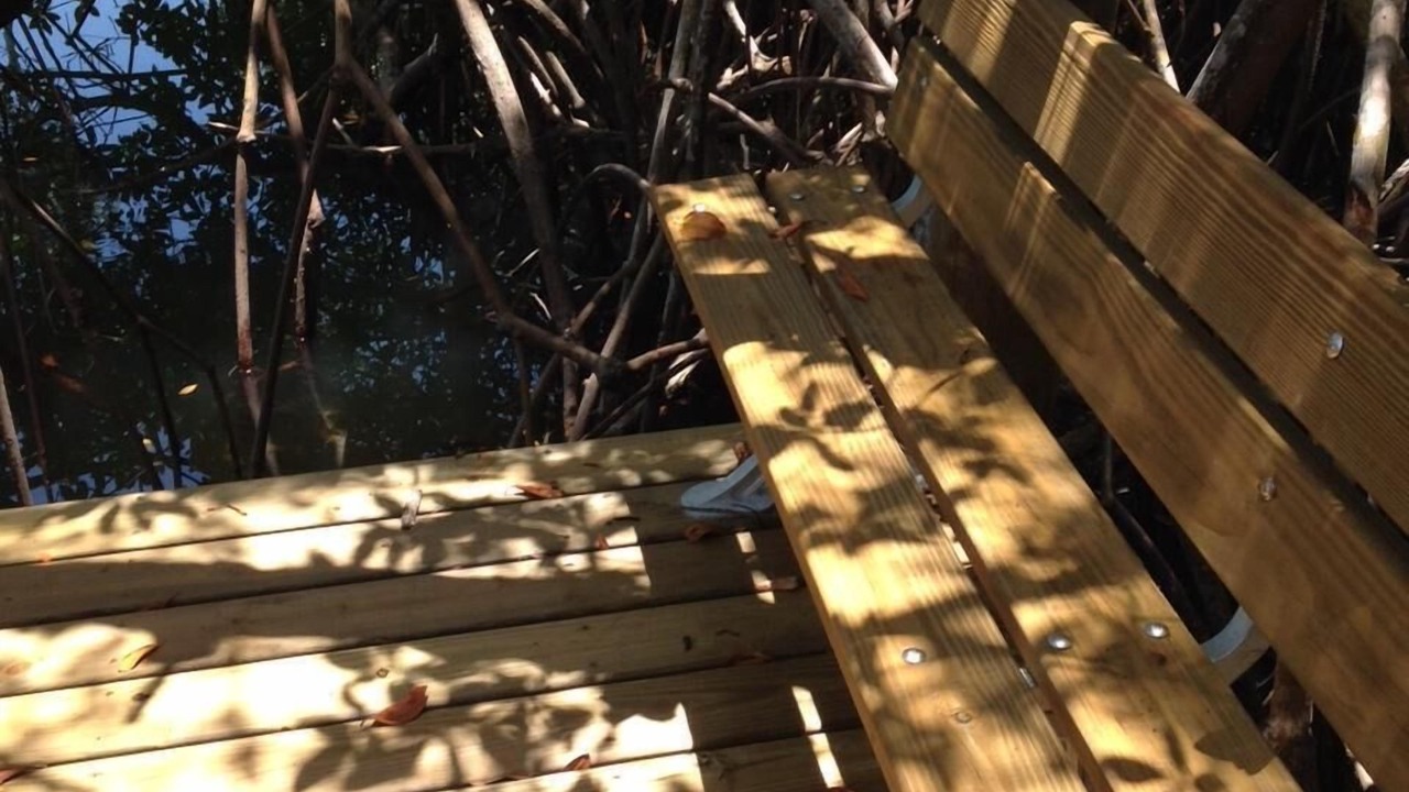 Photo of Outdoor in Whitney Beach