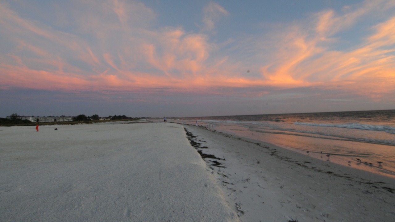 Photo of Others in Whitney Beach