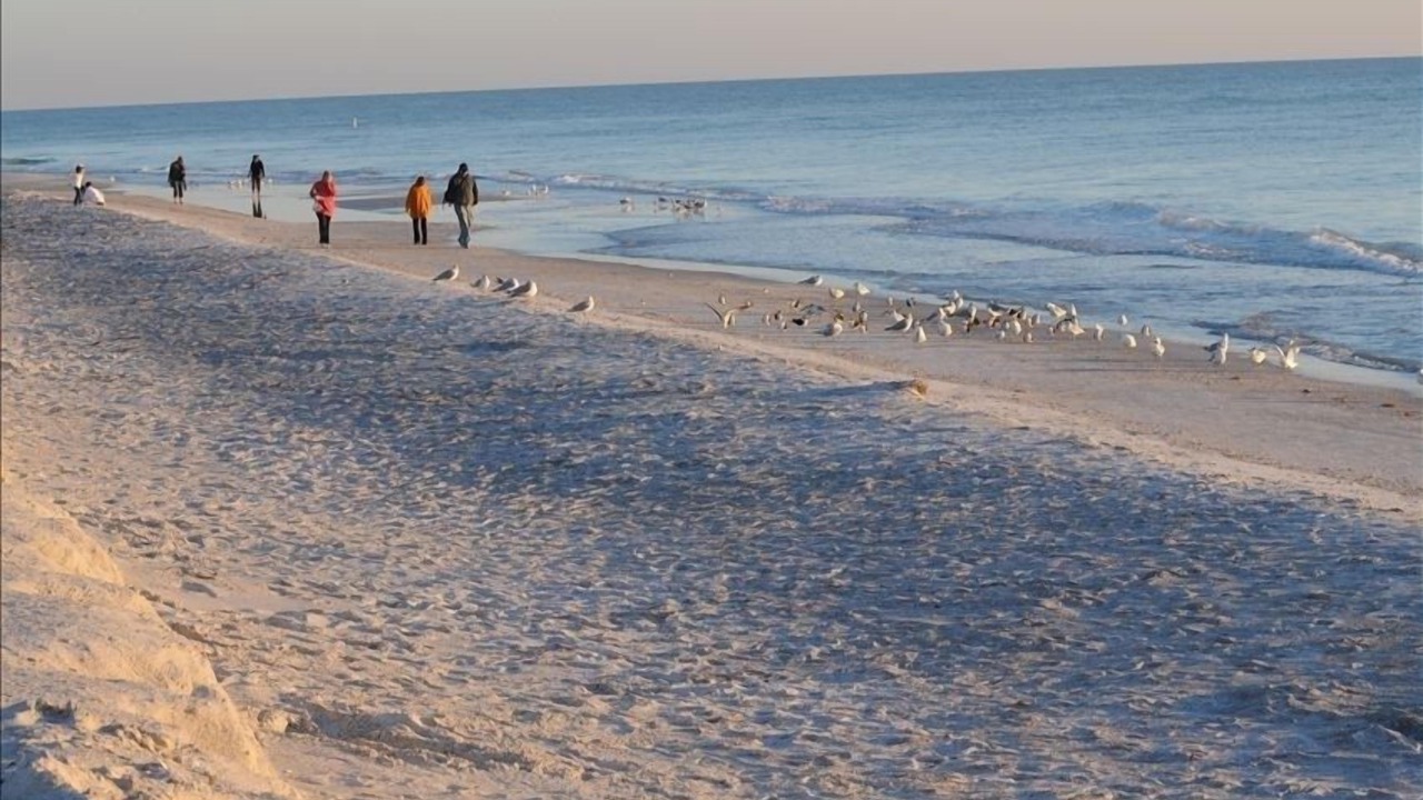 Photo of Others in Whitney Beach
