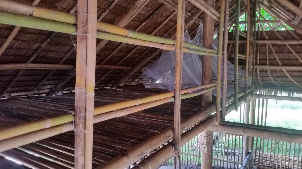 Photo of Outdoor in Linapacan