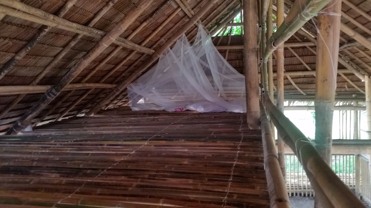 Photo of Outdoor in Linapacan