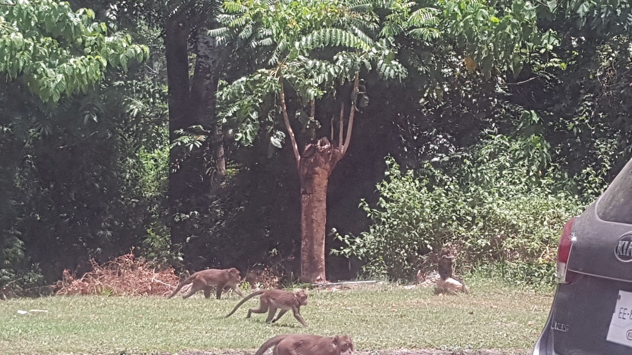 Photo of Outdoor in Morong
