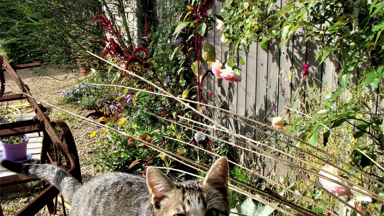 Photo of Outdoor in Riec-sur-Belon