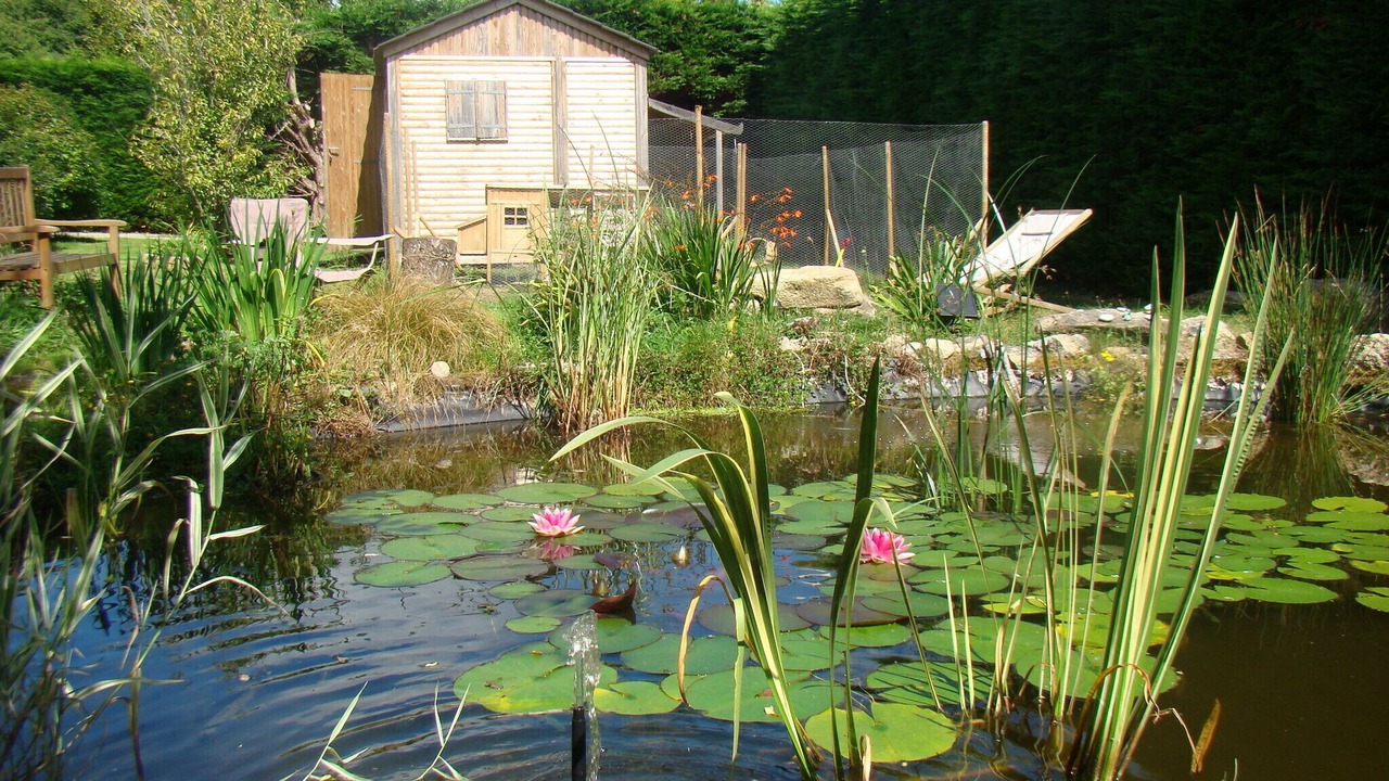 Photo of Outdoor in Riec-sur-Belon