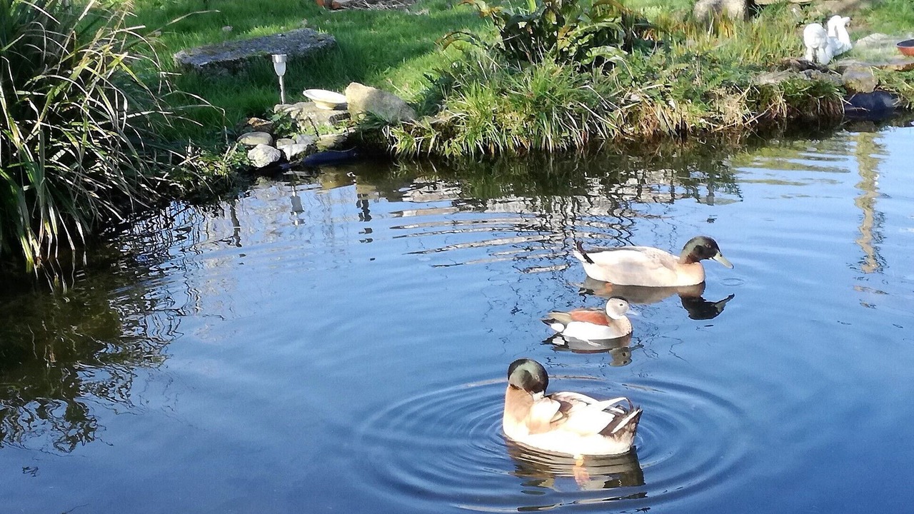 Photo of Outdoor in Riec-sur-Belon