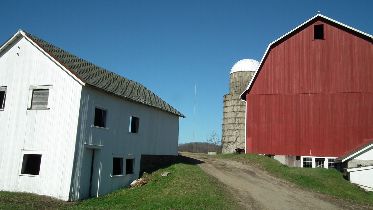 Photo of Others in Wales Center