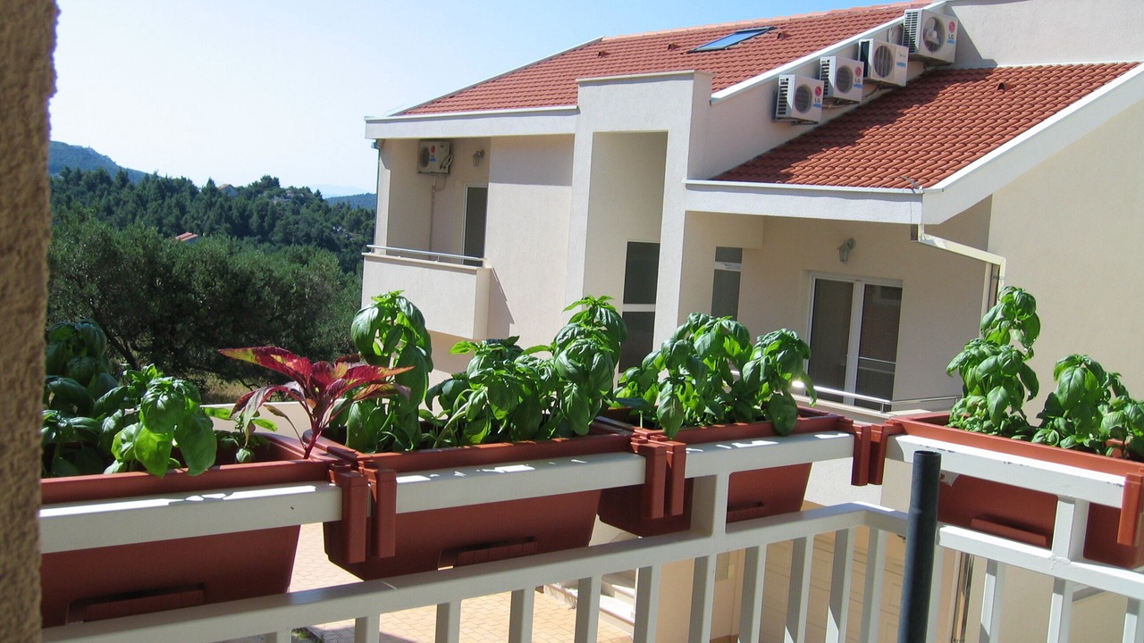 Photo of Outdoor in Zelenka
