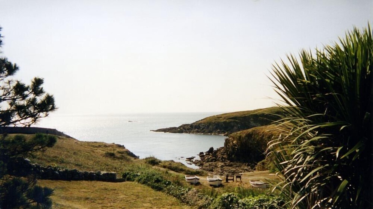 Photo of Others in Primelin