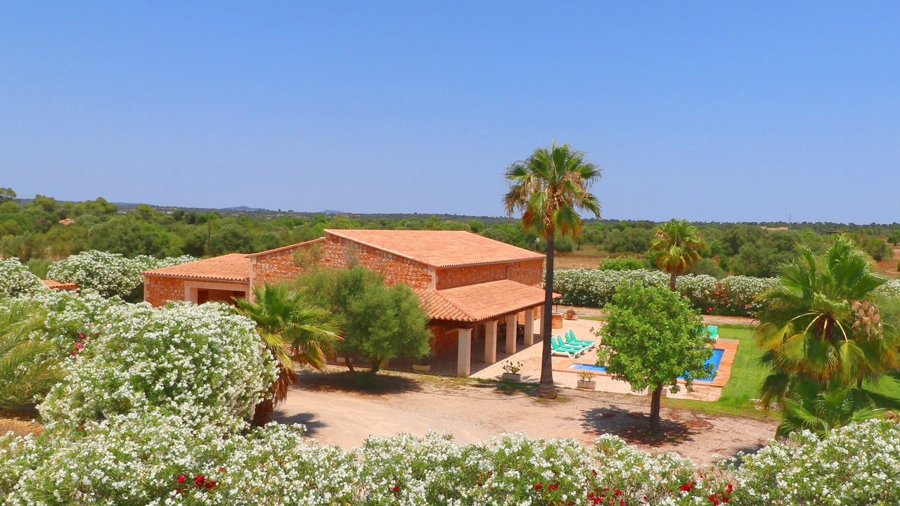 Photo of Outdoor in Campos