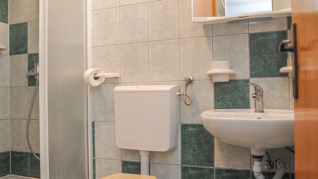 Photo of Bathroom in Caska