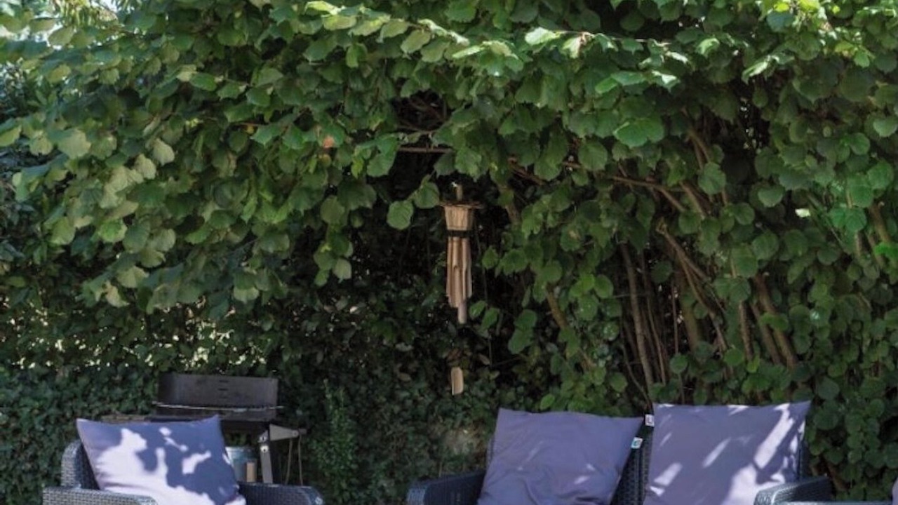 Photo of Outdoor in Dinard