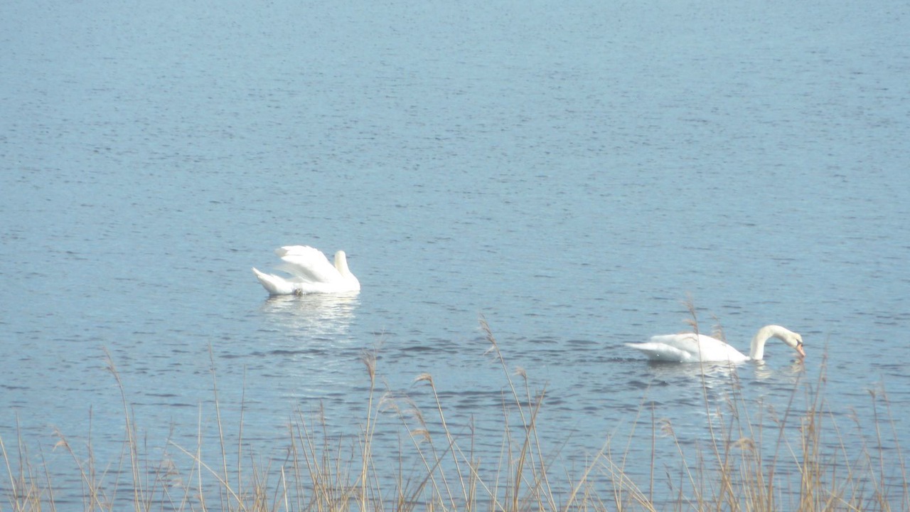 Photo of Others in Guidel-Plages
