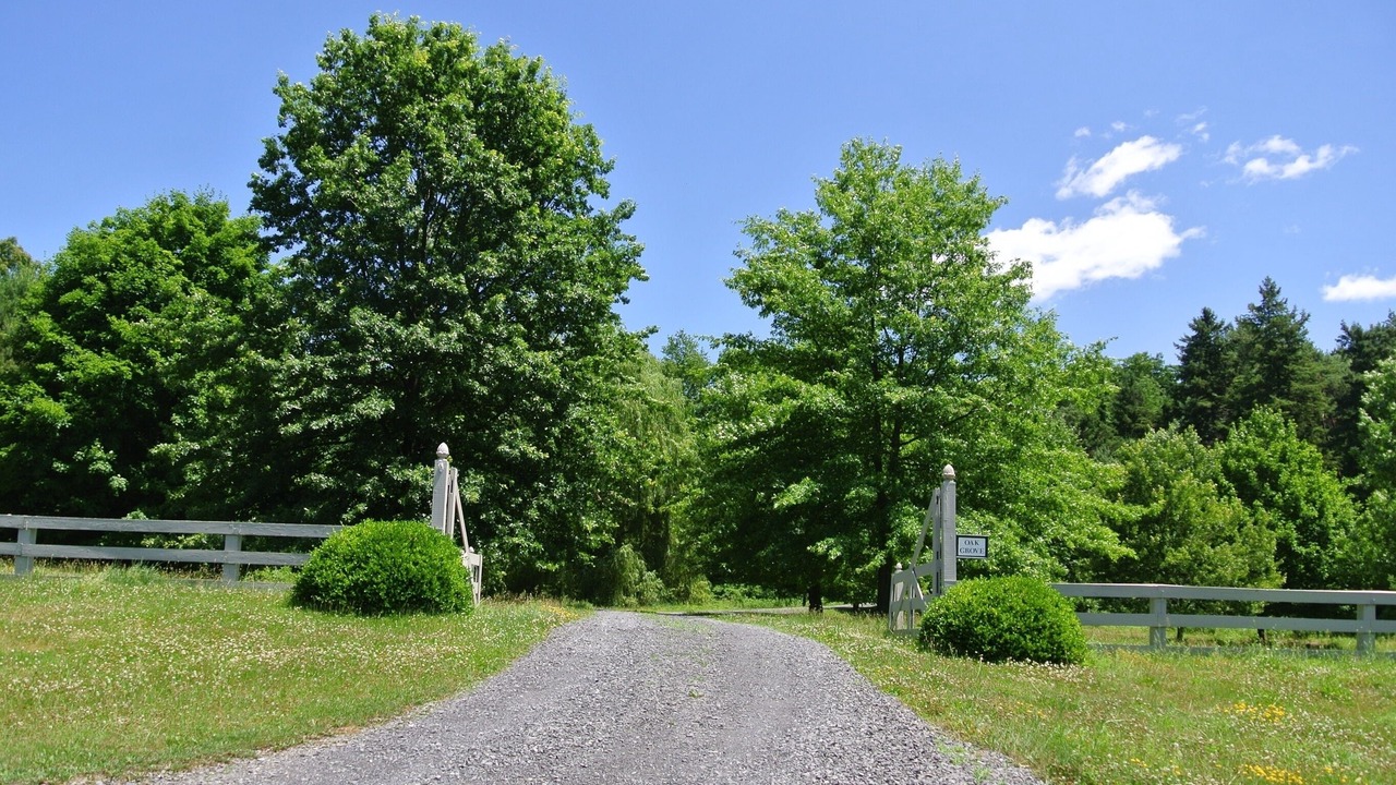 Photo of Others in Hollowville