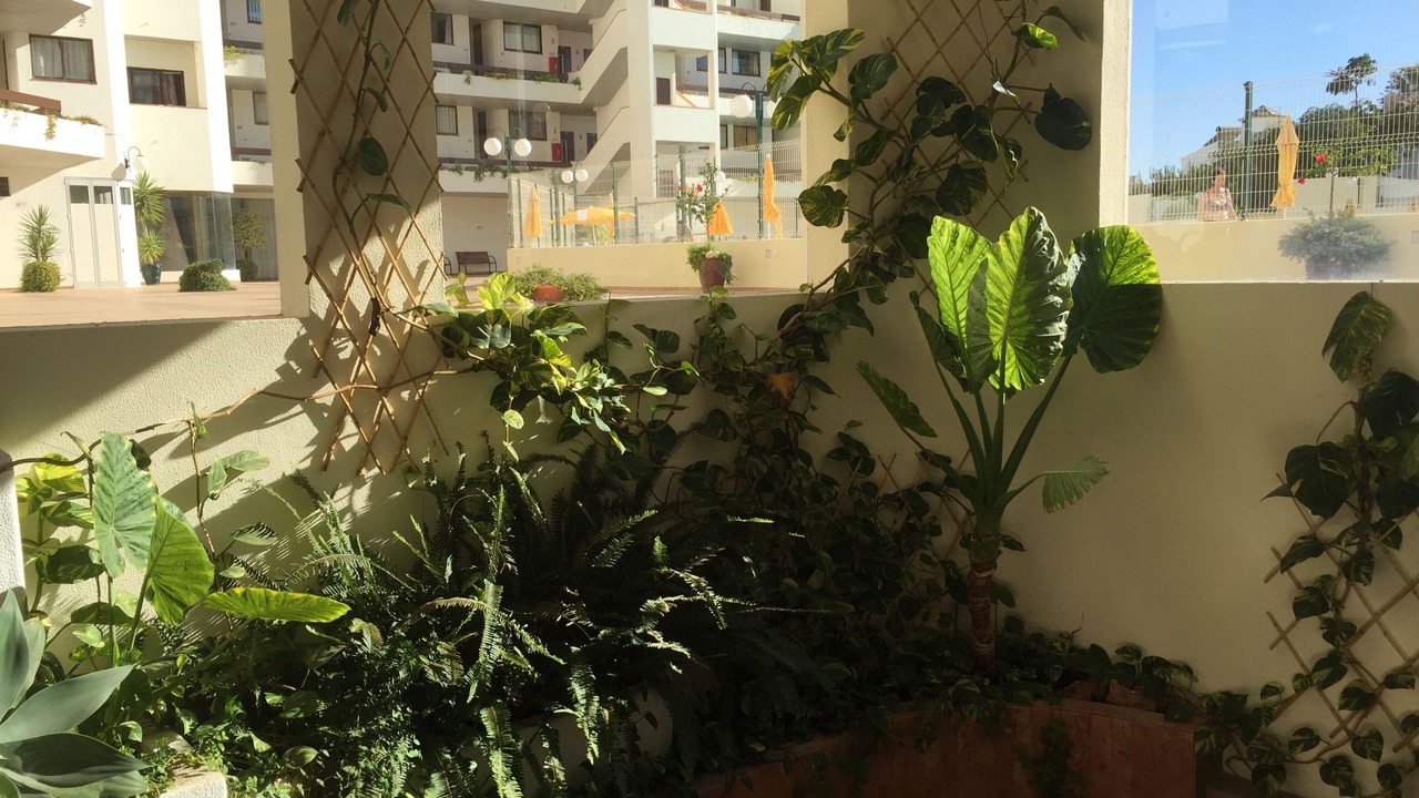 Photo of Outdoor in Montechoro