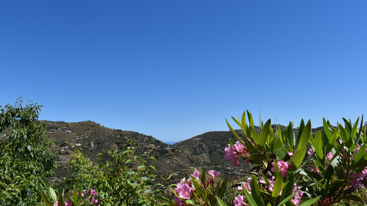 Photo of Outdoor in Competa