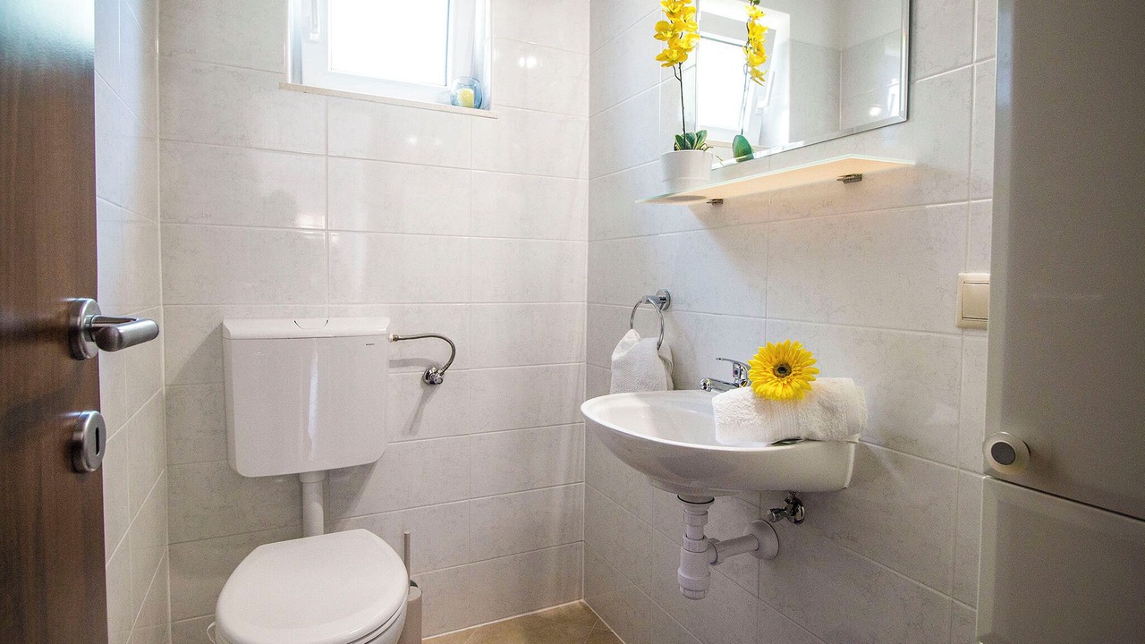 Photo of Bathroom in Srijane