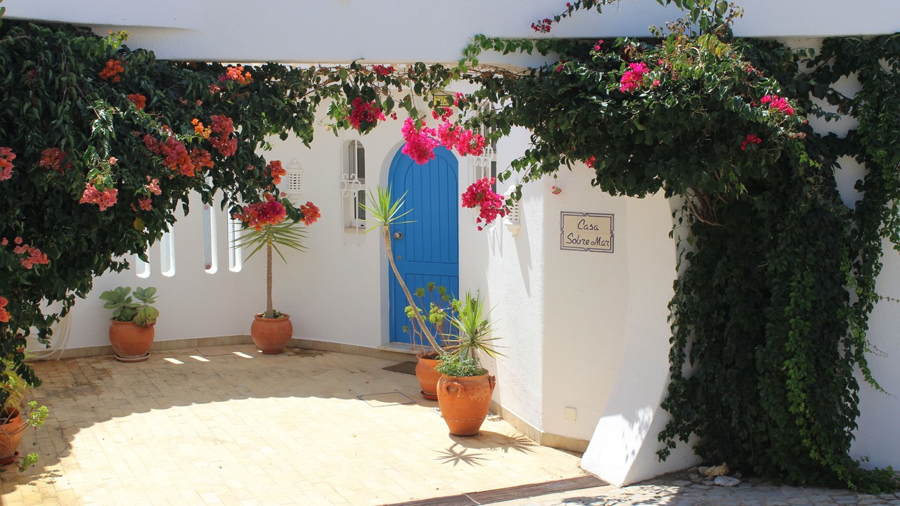 Photo of Others in Albufeira