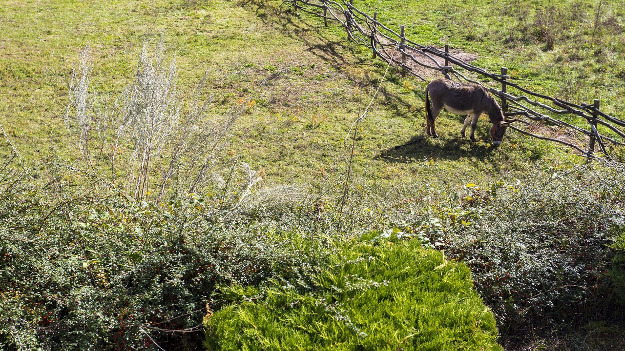 Photo of Outdoor in Krizanci