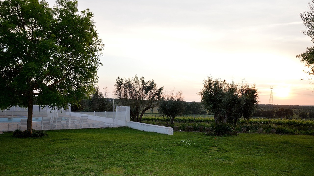 Photo of Outdoor in Alter do Chao