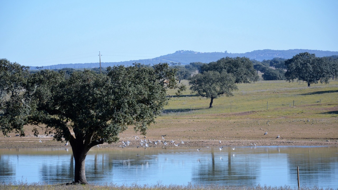 Photo of Outdoor in Alter do Chao