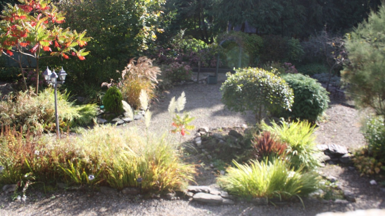 Photo of Outdoor in Merleac