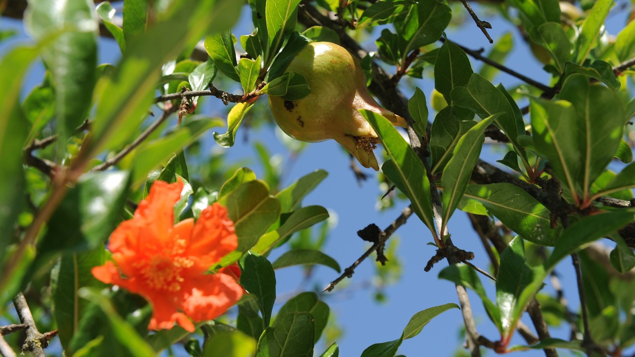 Photo of Outdoor in Stasevica