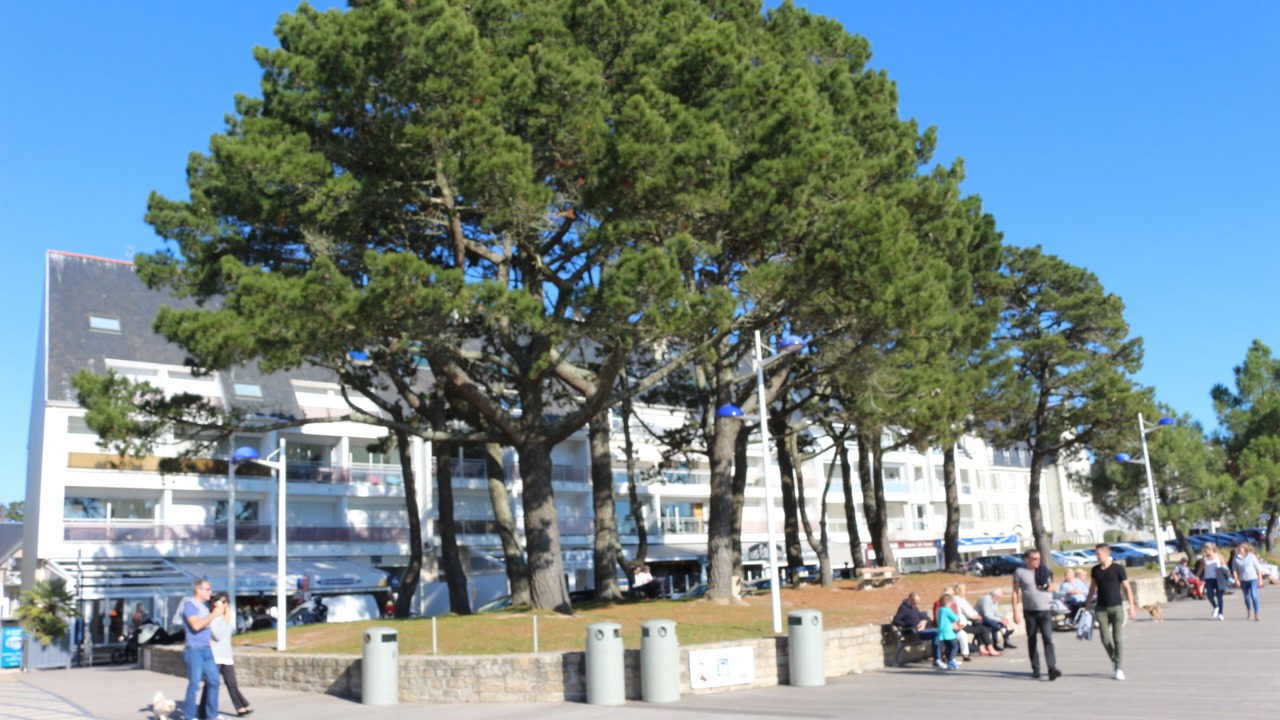 Photo of Others in Benodet