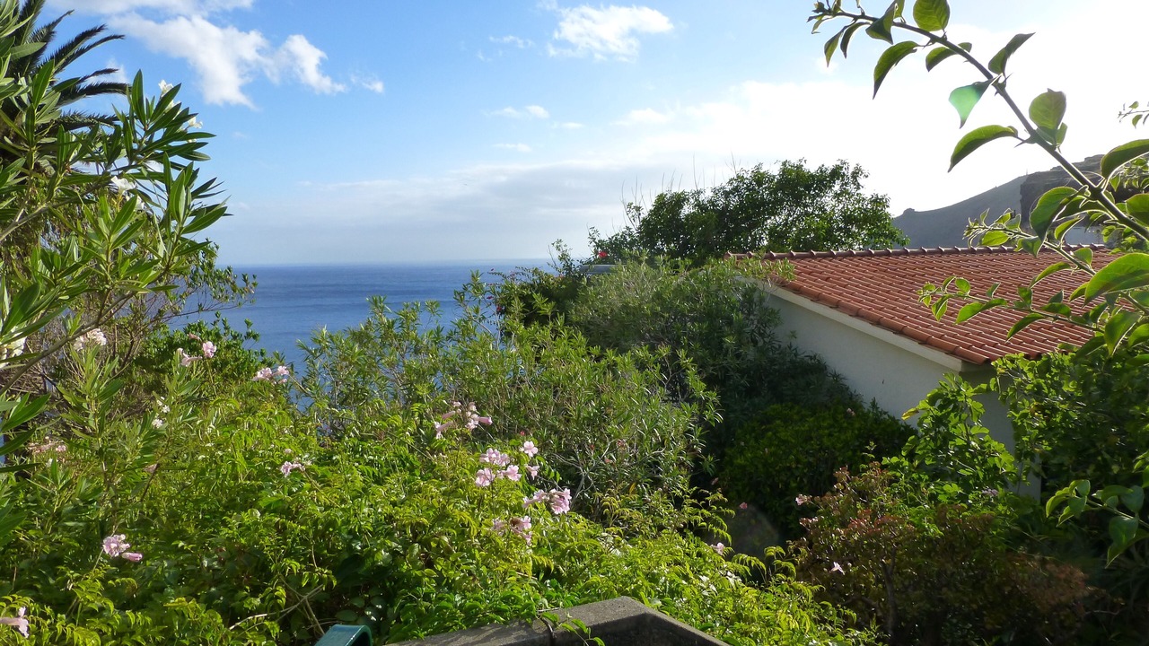Photo of Outdoor in Canico