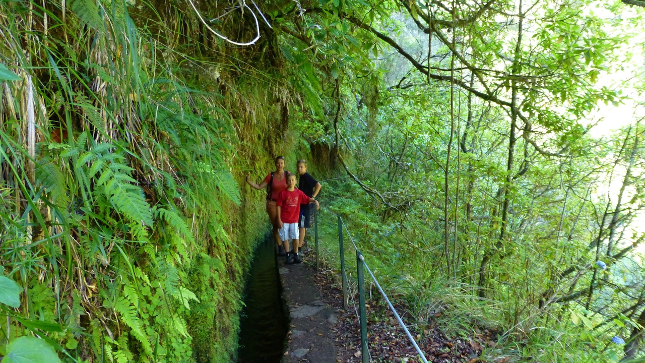 Photo of Outdoor in Canico
