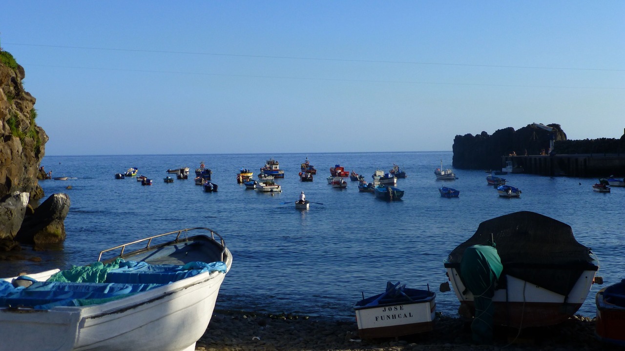Photo of Others in Canico