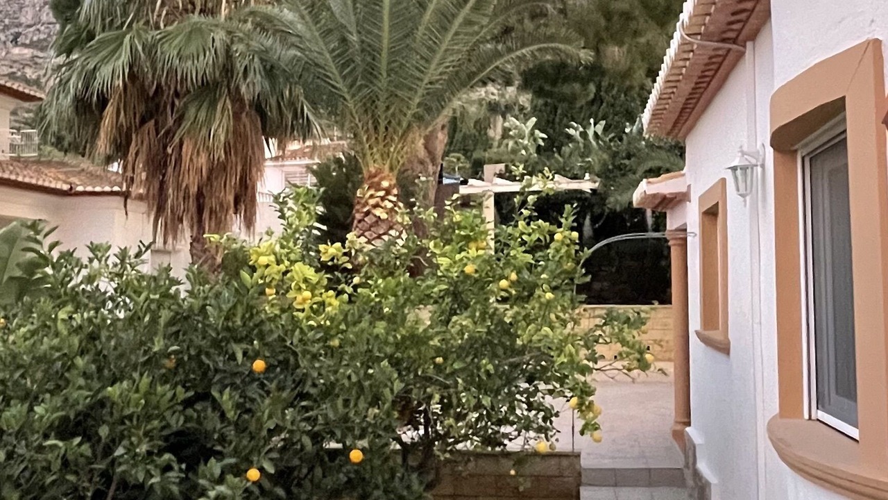 Photo of Outdoor in Denia