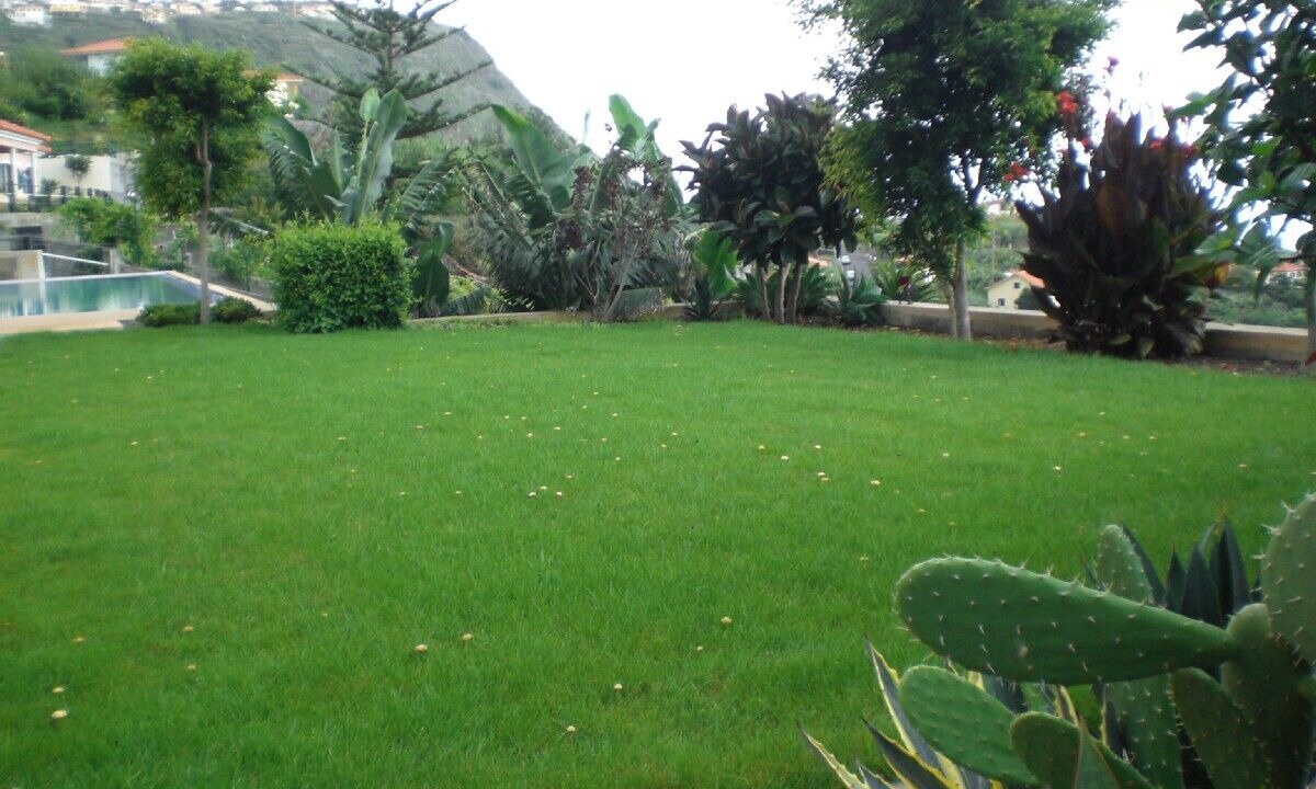 Photo of Outdoor in Arco da Calheta