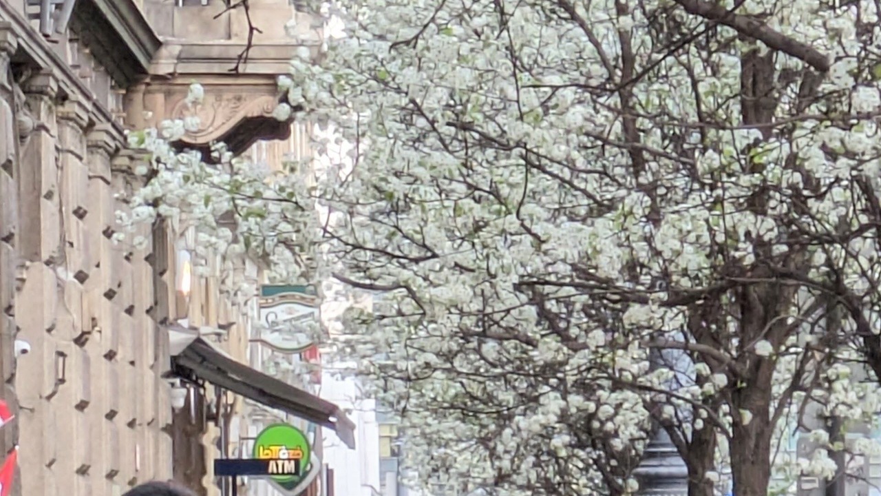 Photo of Others in Inner City Budapest