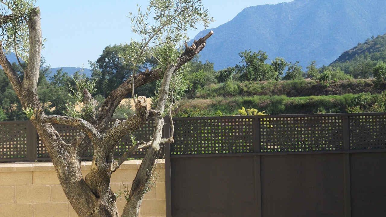 Photo of Outdoor in Puigcercos