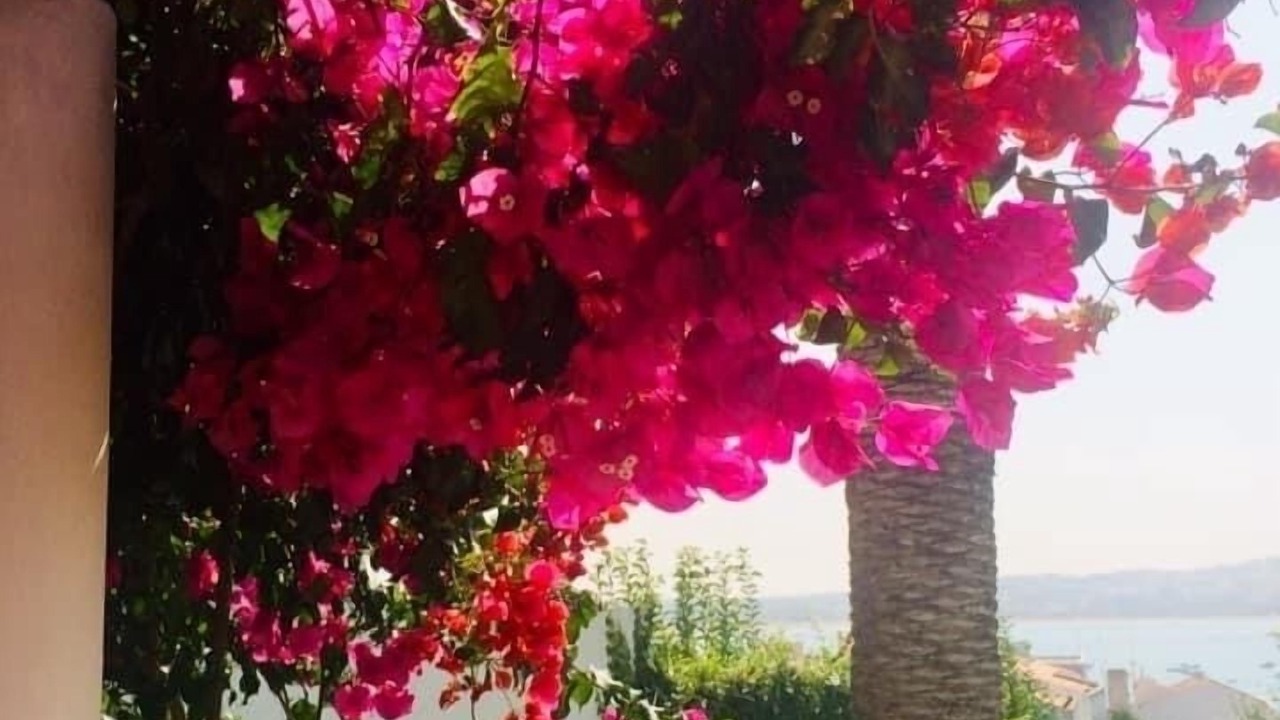Photo of Outdoor in Sao Martinho do Porto