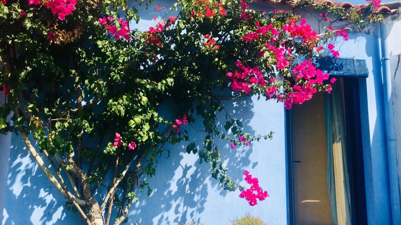 Photo of Outdoor in Sao Martinho do Porto
