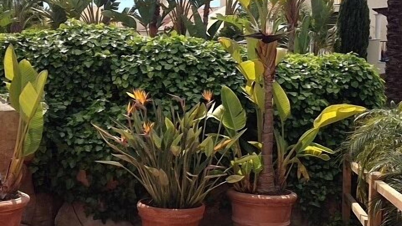 Photo of Others in Vilamoura