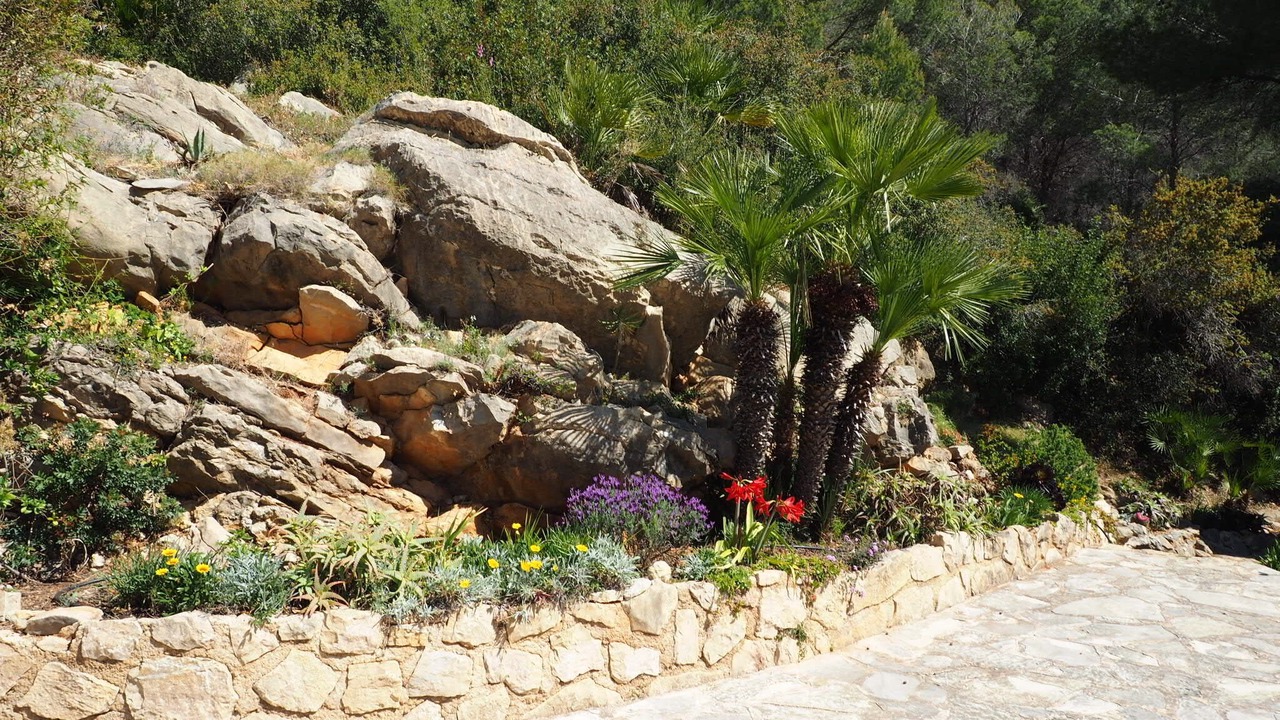 Photo of Outdoor in Montgo de Toscamar
