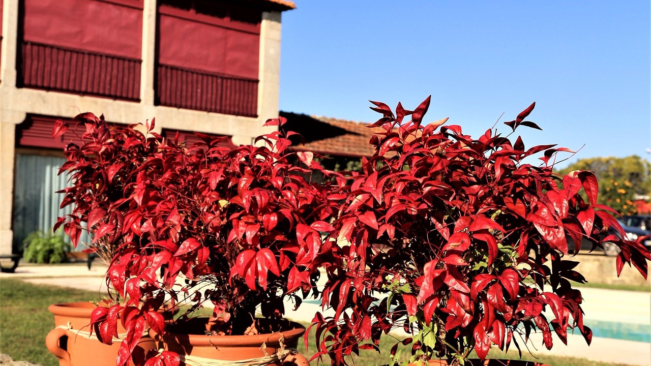 Photo of Outdoor in Barcelos